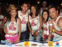 Vaca Atolada
